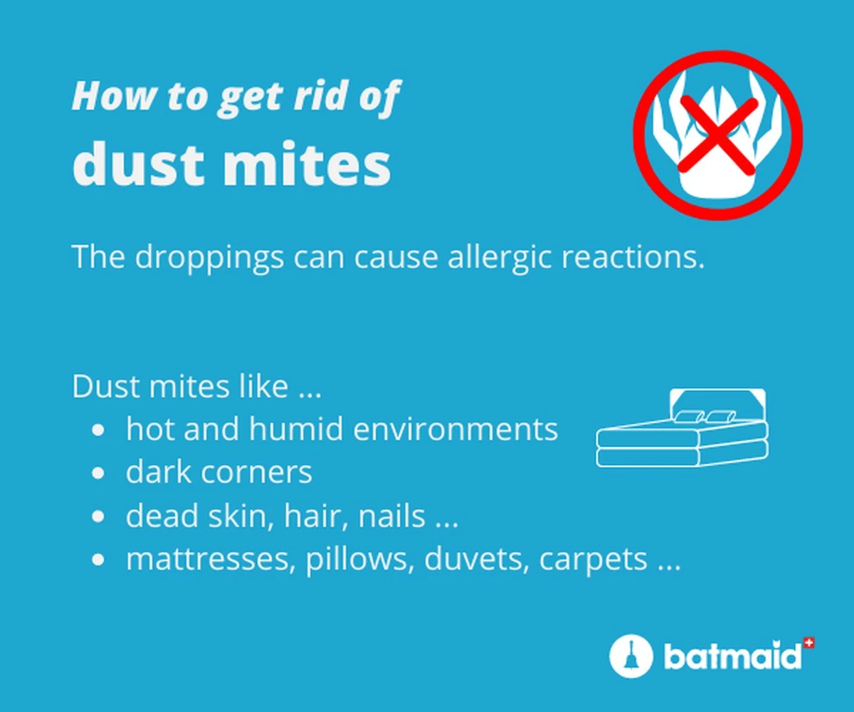 Jedlá soda v posteli: jak se zbavit roztočů za jednu noc - image 1