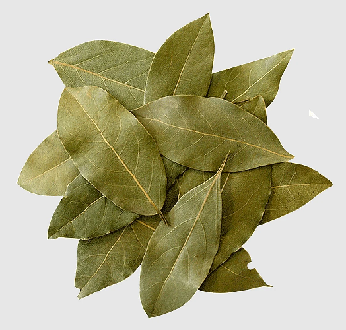 Bobkový list do mouky: 100 let starý trik proti molům a škůdcům - image 2