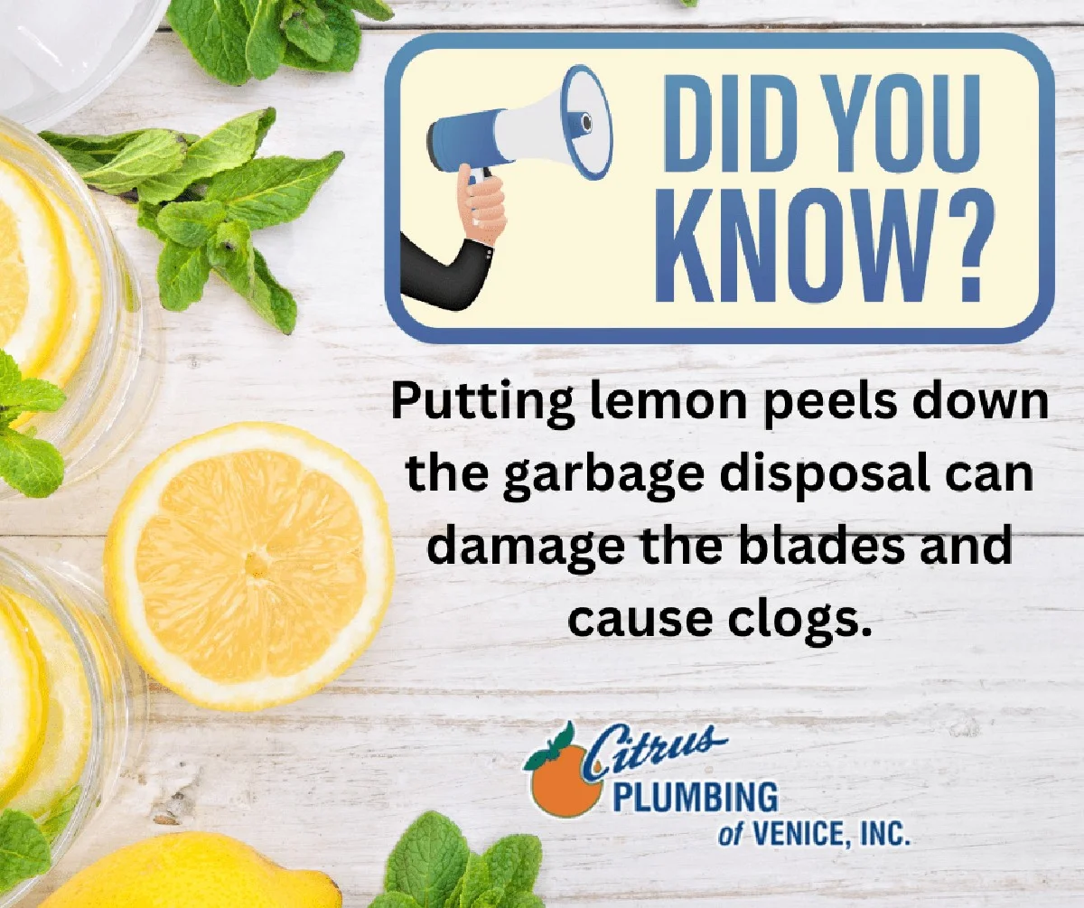 Citronová kůra v odpadkovém koši neutrální vůni: přirozený osvěžovač, který funguje