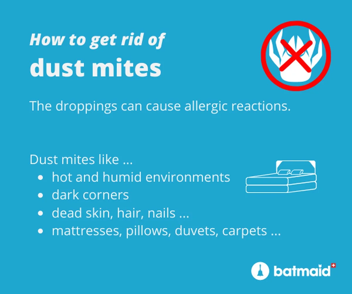 Soda bicarbona na matracích: trik proti roztoči, který zapomněli dentisté - image 1