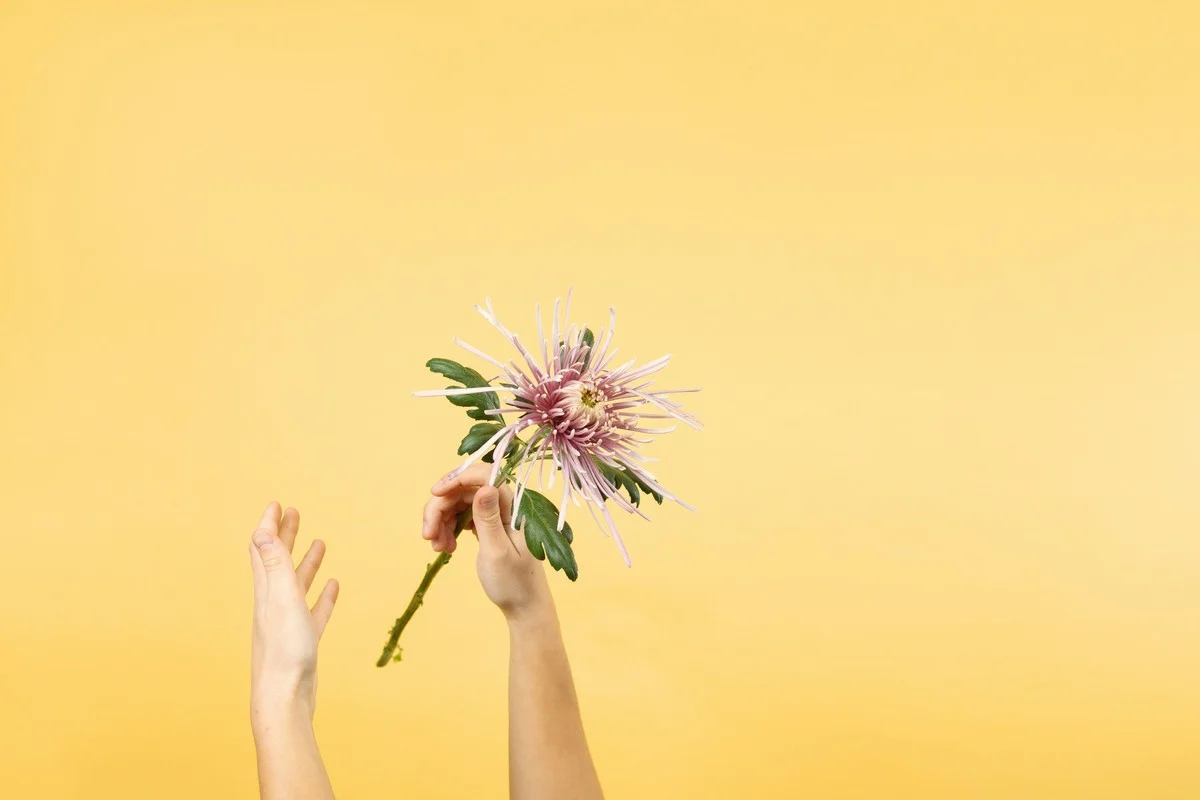 Kus tuhy do vázy a květiny vydrží o týden déle - image 1