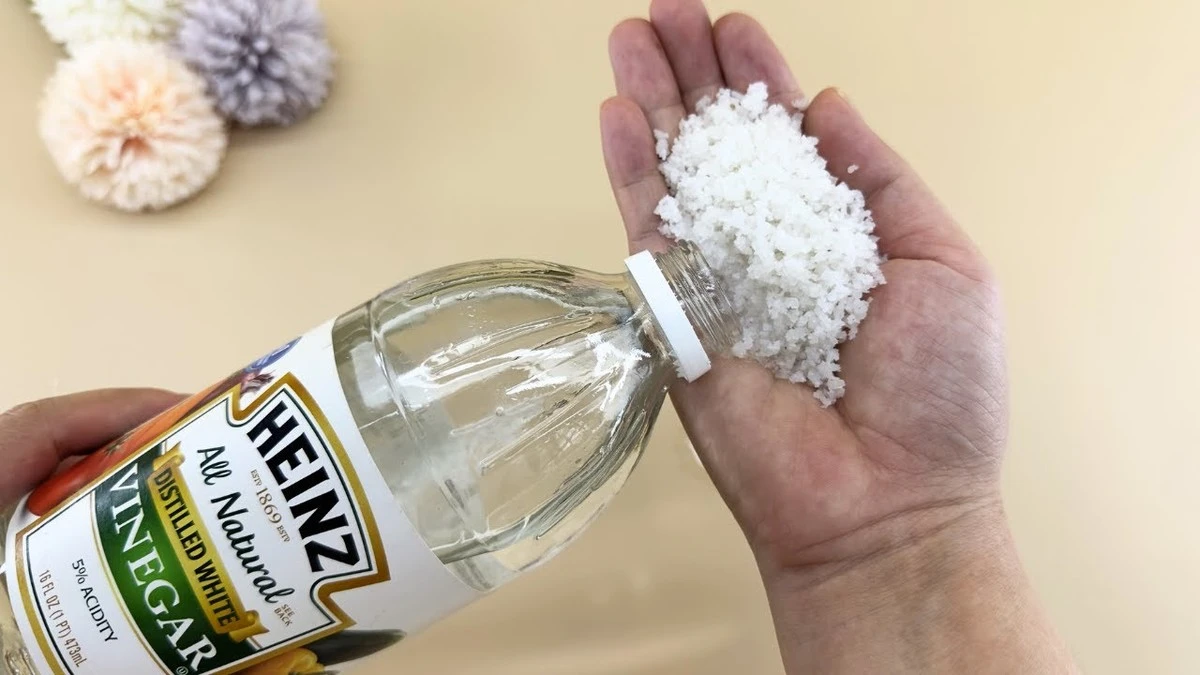 Ocet a sůl do trouby: metoda, kterou babičky znaly století - image 1