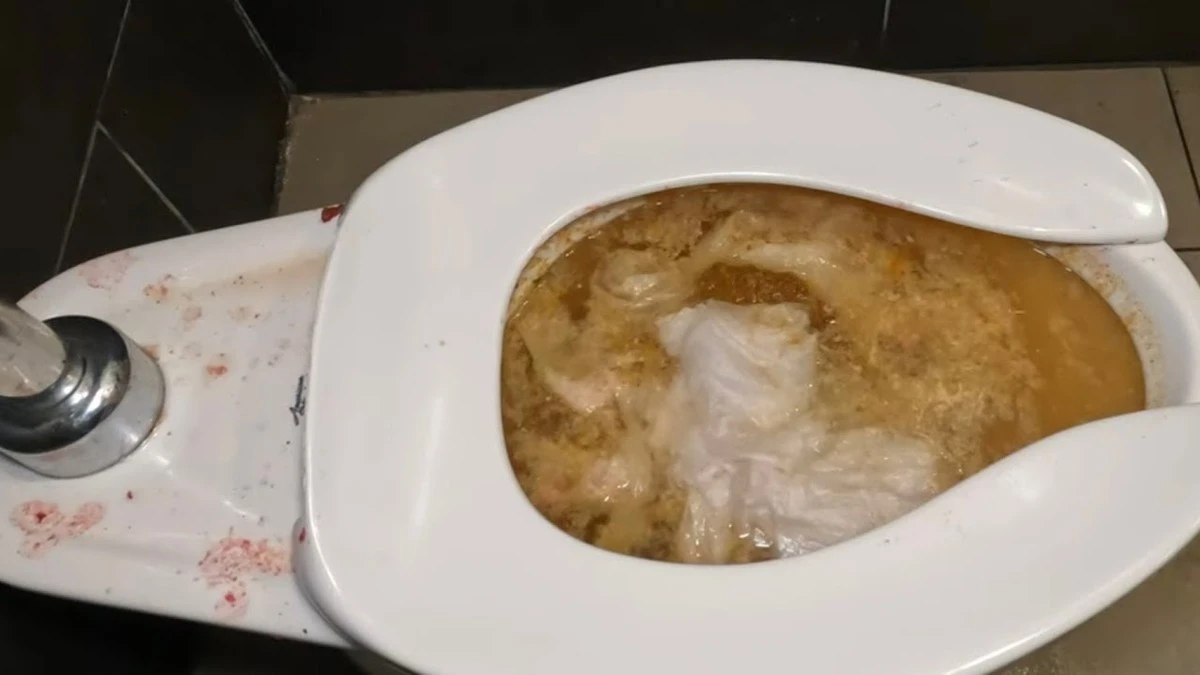 Kofola v toaletě: proč číšníci znají tento nejlepší trik na zanešené WC - image 2