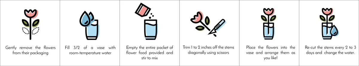 Kus tuhy do vázy a květiny vydrží o týden déle - image 2