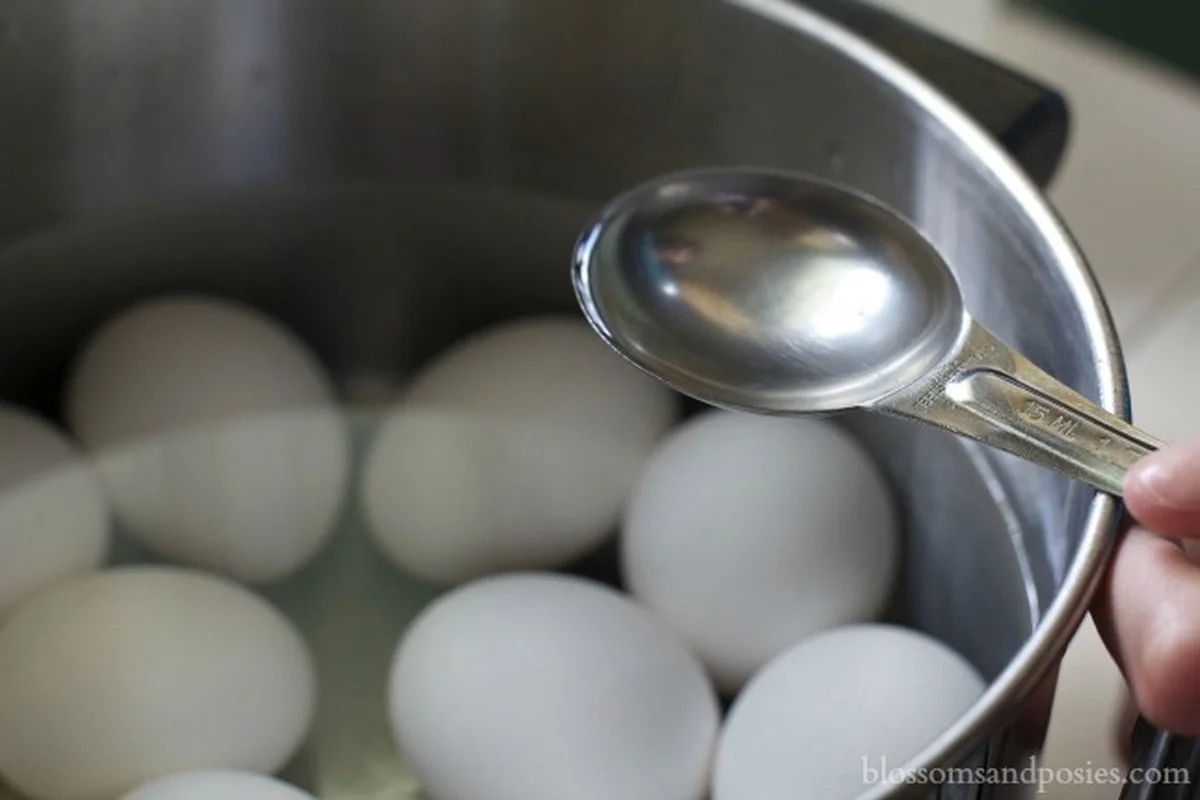 Proč všichni šéfkuchaři přidávají ocet do vroucí vody na vejce - image 1