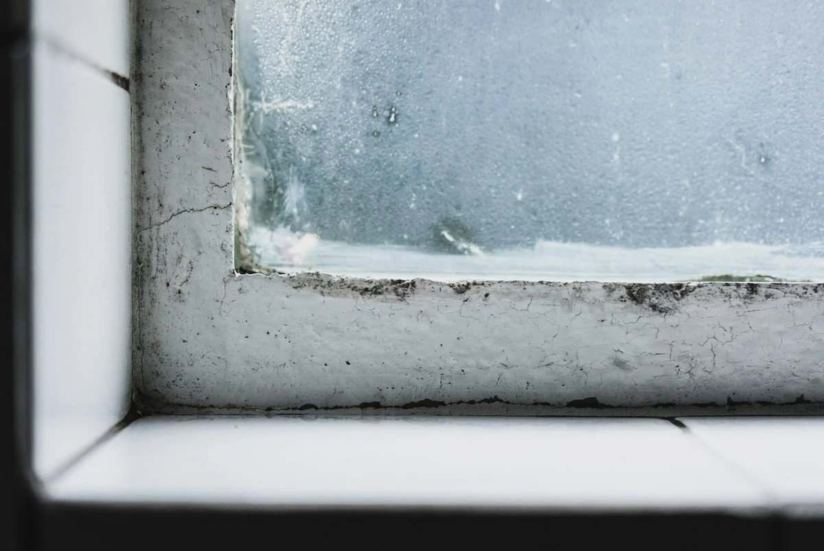 Sůl na okenních parápech: tajemství bez vlhkosti, kterou všichni přehlížejí - image 2