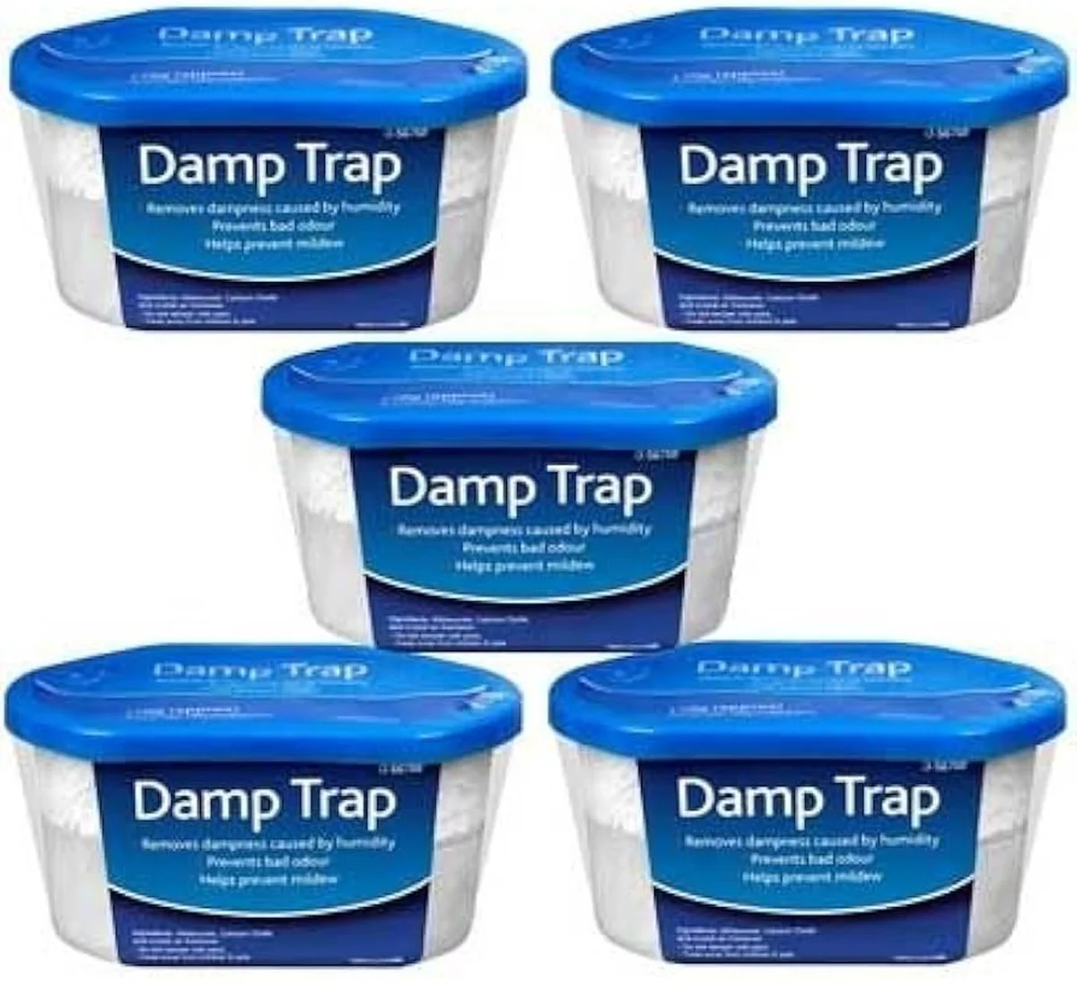 Staré brýle v koupelně: zákeřný trik proti plísni, který funguje - image 2