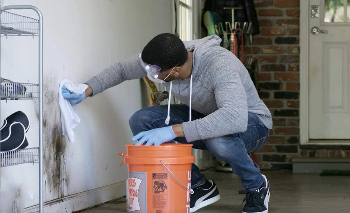 Vejce s octovou esencí: domácí prostředek proti plísním bez chemie - image 2