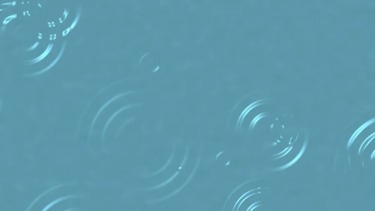 Vaše znamení v prosinci: astroložka vám řekne, co vám přinese štěstí